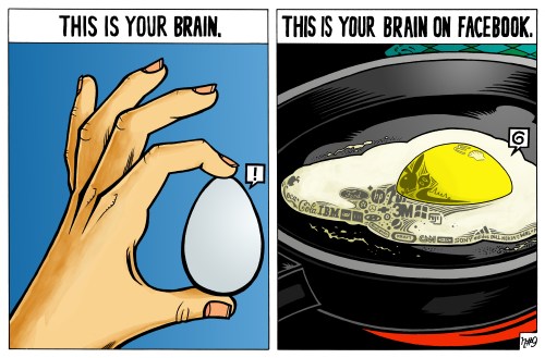 fb-brain-final